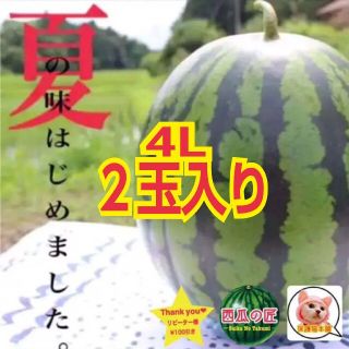 【8月初旬順次発送数量限定販売】西瓜の匠厳選鳥取ブランド西瓜(4L2玉)(フルーツ)