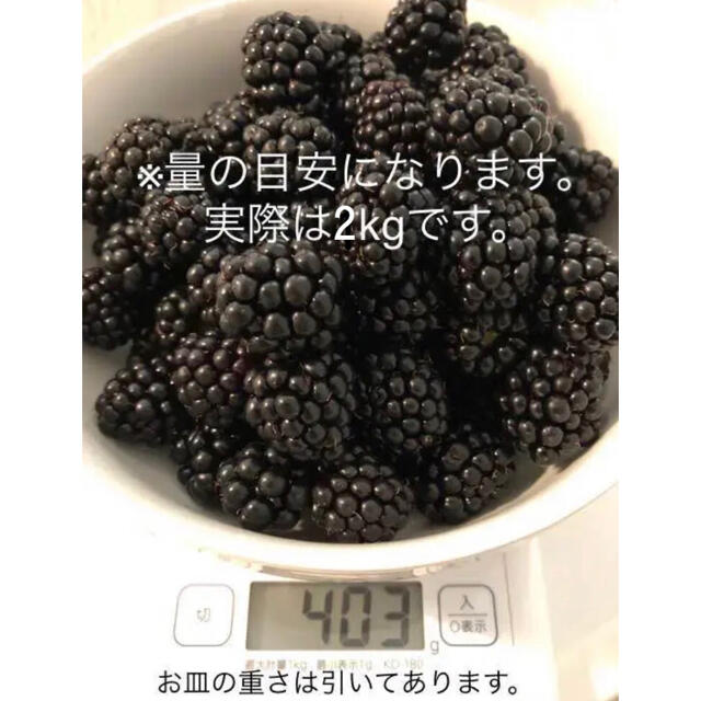 ブラックベリー　2kg 冷凍　ジャムや果実酒に 食品/飲料/酒の食品(フルーツ)の商品写真