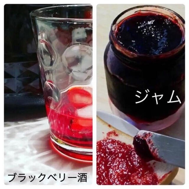 ブラックベリー　2kg 冷凍　ジャムや果実酒に 食品/飲料/酒の食品(フルーツ)の商品写真