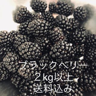 ブラックベリー　2kg 冷凍　ジャムや果実酒に(フルーツ)