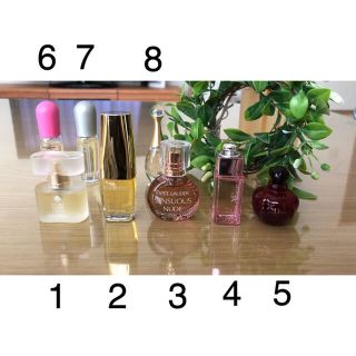 エスティローダー(Estee Lauder)のミニ香水　Dior ESTEELAUDER(香水(女性用))