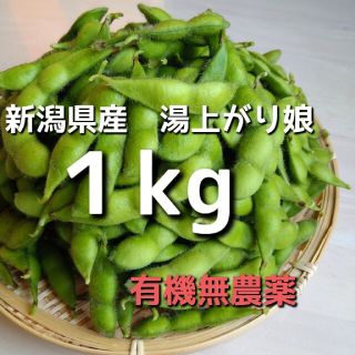 有機無農薬 ☆ 新潟県産　湯上がり娘　1kg(野菜)