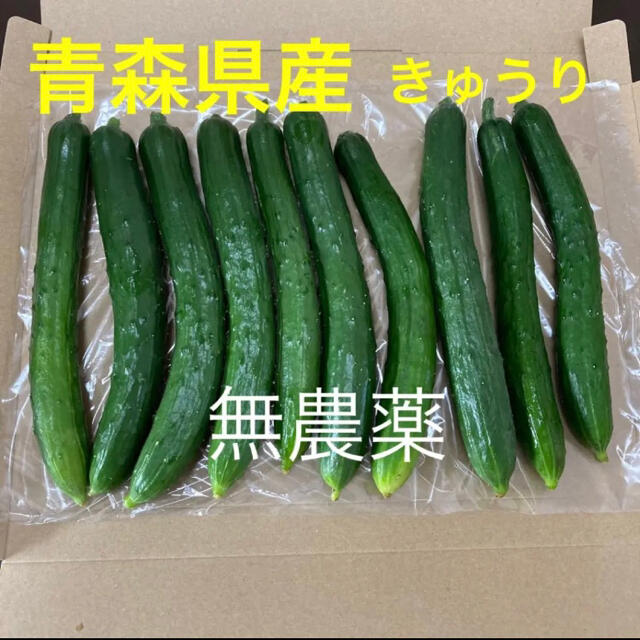 青森県産　きゅうり　無農薬 食品/飲料/酒の食品(野菜)の商品写真