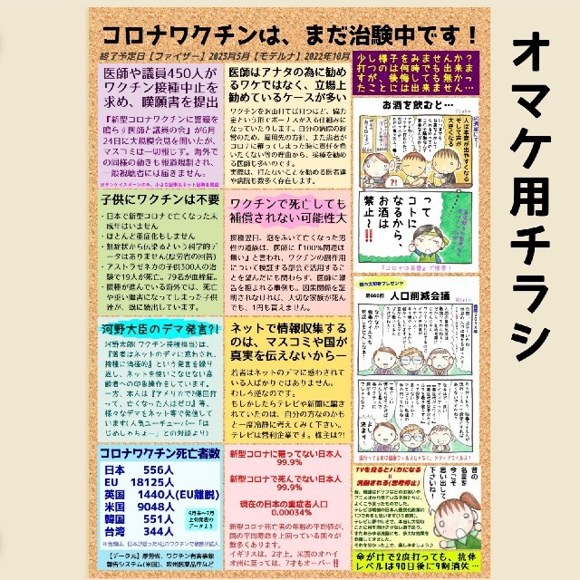 冊子＆チラシ100枚セット エンタメ/ホビーの同人誌(一般)の商品写真