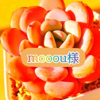 mooou様　ご確認用(オーダーメイド)