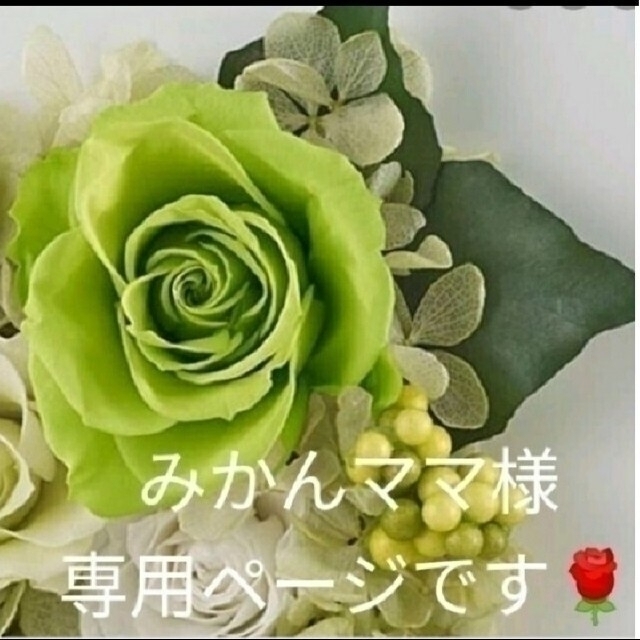 アウトレット公式店 みかんママ様専用ページです♪ 天然石ピアス2点セット オブシティアンオパール アウトレット売れ筋|ハンドメイド,アクセサリー - dcwaindefla.dz アウトレット公式店 みかんママ様専用ページです♪ 天然石ピアス2点セット オブシティアンオパール アウトレット売れ筋|ハンドメイド,アクセサリー - dcwaindefla.dz