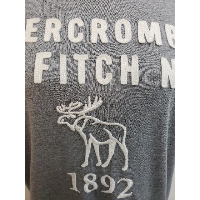 abercrombie&fitch  Tシャツ 1