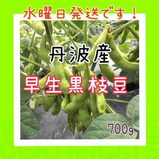 丹波産❗️早生黒枝豆700g入(野菜)