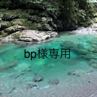 bp様専用(Tシャツ/カットソー)