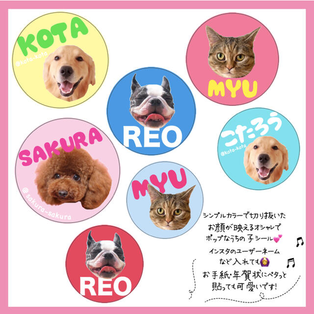 ♡うちの子シール/シンプル♡名入れ　愛犬　愛猫　サンキューシール　ペットシール ハンドメイドのペット(その他)の商品写真