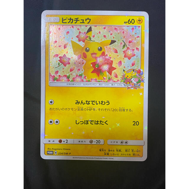 みんなでいわうピカチュウ プロモ 週間売れ筋 8060円 www.gold-and