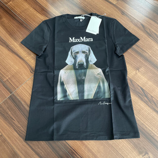 Max Mara(マックスマーラ)のMax Mara マックスマーラ　Tシャツ レディースのトップス(Tシャツ(半袖/袖なし))の商品写真