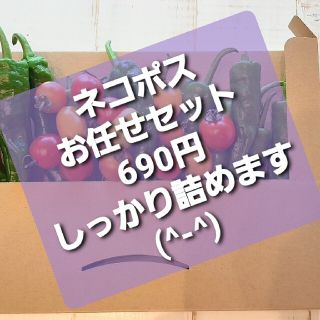 夏のお野菜のお届けお任せ。ネコポス。翌日配送地域のみm(_ _)m。(野菜)