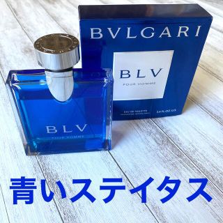 ブルガリ(BVLGARI)の【BVLGARI】POUR HOMME 100ml 数回使用品 香水 ブルー(香水(男性用))