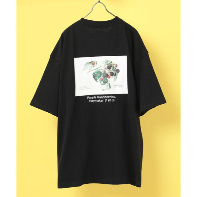 FREAK'S STORE(フリークスストア)の【さくら様専用】FREAKS STORE 半袖Tシャツ レディースのトップス(Tシャツ(半袖/袖なし))の商品写真