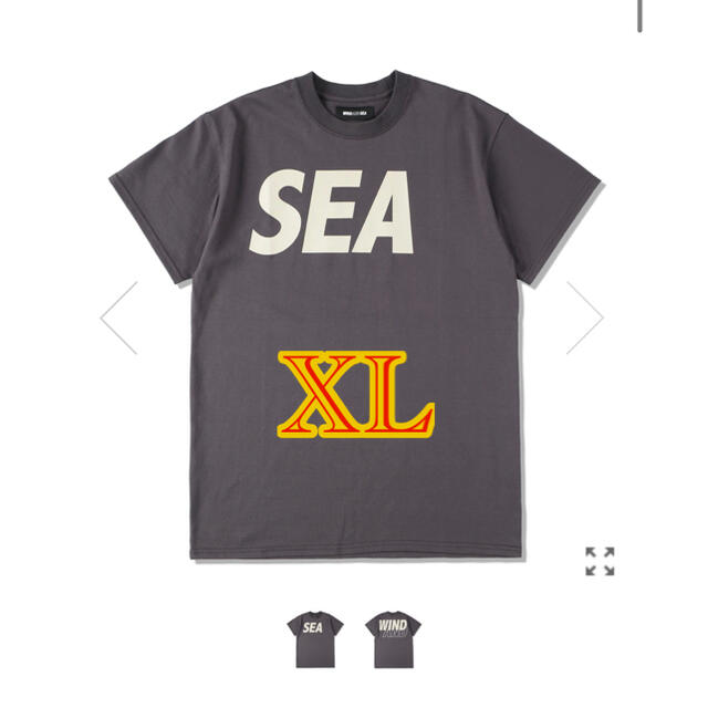 WIND AND SEA S/S T-SHIRT /CHARCOAL-BEIGE