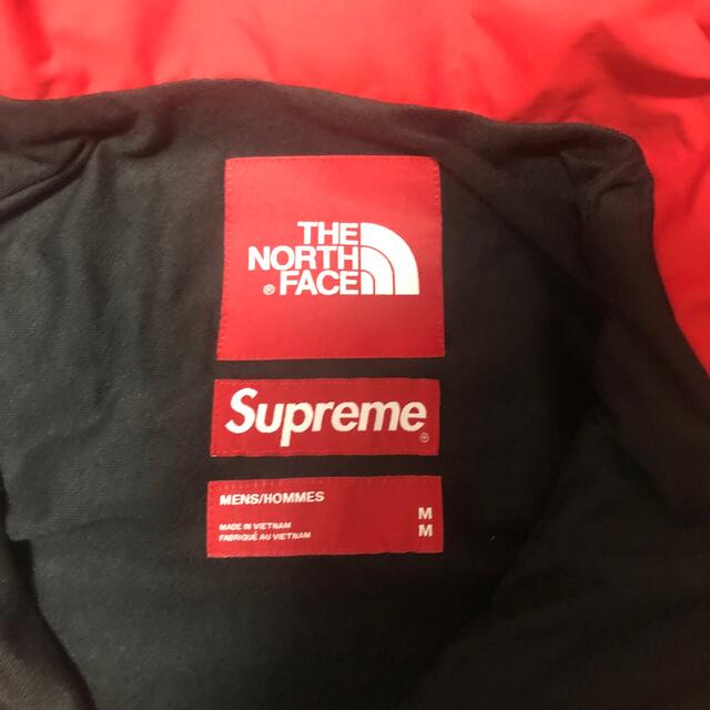 supreme the northface statue of liberty 1