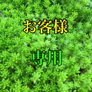 エスエスケイ(SSK)のお客様専用　SSK クラムチャウダー　4袋　レトルト食品　送料込(レトルト食品)