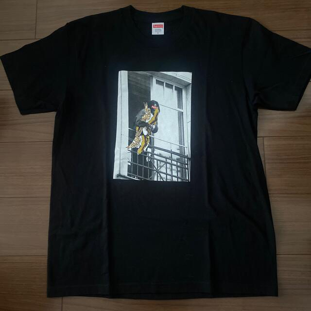 Supreme(シュプリーム)のクーパー様専用　新品❗️シュプ　antihero バルコニーT  Mサイズ メンズのトップス(Tシャツ/カットソー(半袖/袖なし))の商品写真