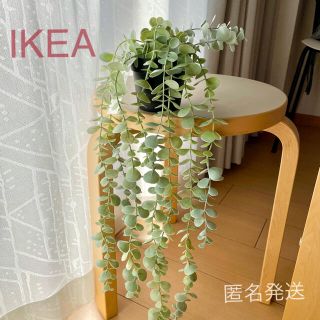 イケア(IKEA)の【新品】IKEA イケア フェイクグリーン（ユーカリ）フェイカ(その他)