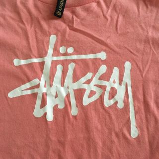 ステューシー(STUSSY)の★stussy★ Tシャツ　(Tシャツ(半袖/袖なし))