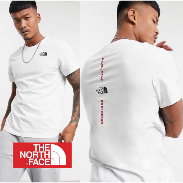 THE NORTH FACE ASOSコラボ vertical 海外限定Tシャツ