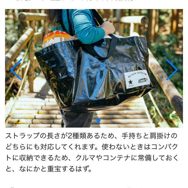 Coleman(コールマン)のColeman ✖️Sapporo★コラボ限定　キャリーバッグ エンタメ/ホビーのコレクション(ノベルティグッズ)の商品写真