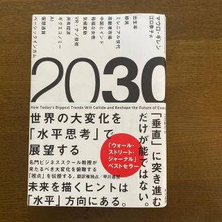 ２０３０ 世界の大変化を「水平思考」で展望する(ビジネス/経済)