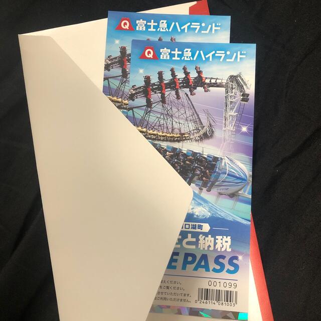 富士急ハイランド FREE PASS 2枚セット