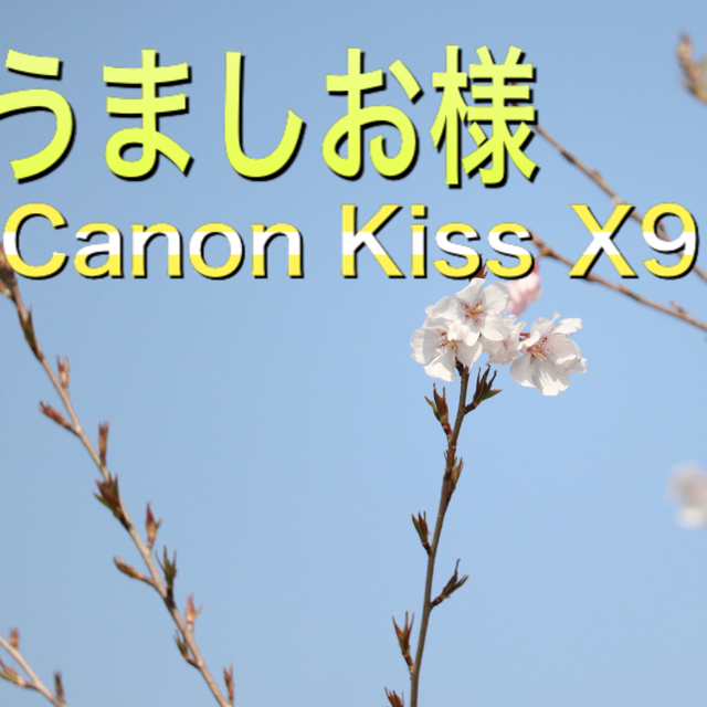 Canon KissX9 〜うましお様〜 スマホ/家電/カメラのカメラ(デジタル一眼)の商品写真