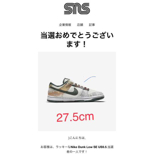 NIKE(ナイキ)のNIKE ダンク　DUNK LOW Sail Multi-Camo 27.5 メンズの靴/シューズ(スニーカー)の商品写真