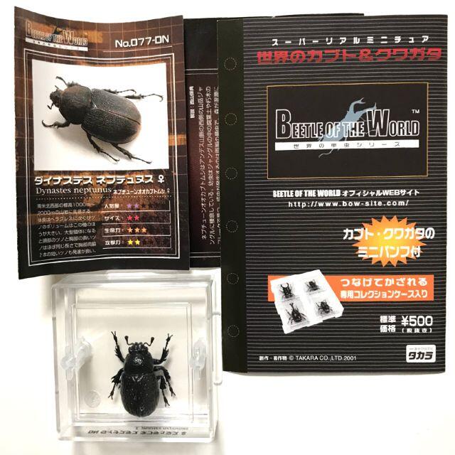 タカラ 世界の甲虫シリーズ BEETLE OF THE WORLD TAKARA Beetle Of The