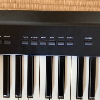 コルグ 88鍵 電子ピアノ KORG SP-100　動作品(電子ピアノ)