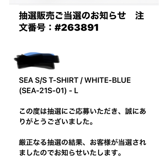 ウィンダンシーWINDANDSEAホワイトブルーTシャツL メンズのトップス(Tシャツ/カットソー(半袖/袖なし))の商品写真