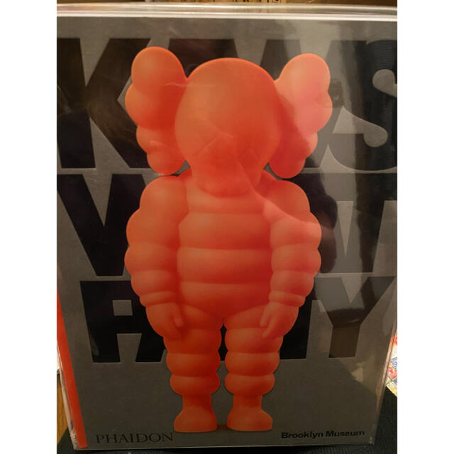 海外限定　KAWS WHAT PARTY オレンジエディション カウズ　本　書籍