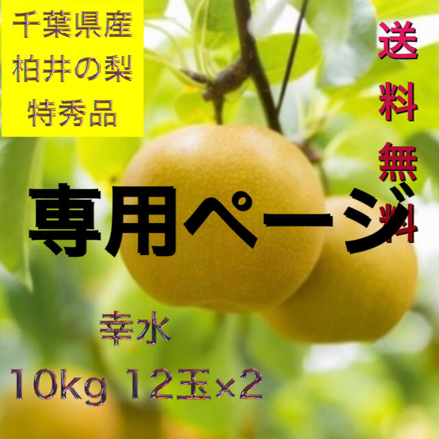 ふうこ様専用 梨 10kg 12玉×2 日本一高値が付く梨 柏井 ブランド梨 フルーツ
