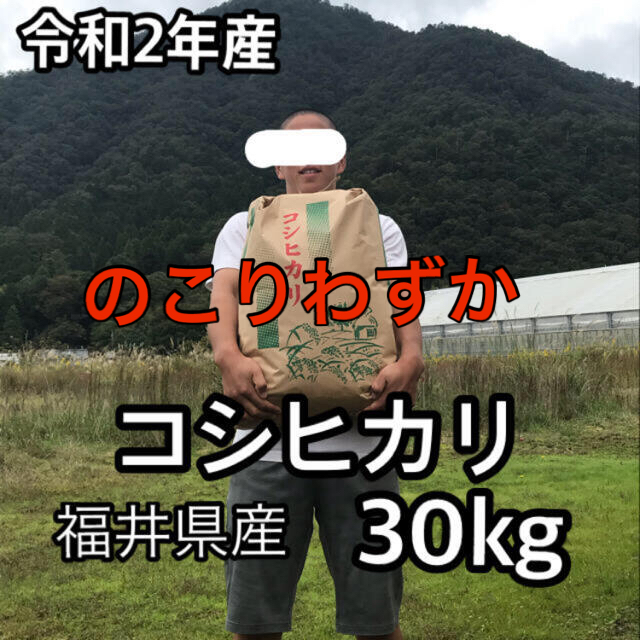 福井県産コシヒカリ30kg 令和2年産　低農薬