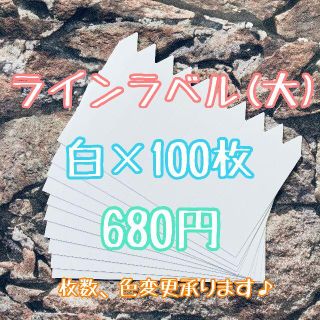 ◎ 100枚 ◎ 白 ( 大 ) ラインラベル 園芸ラベル カラーラベル(プランター)