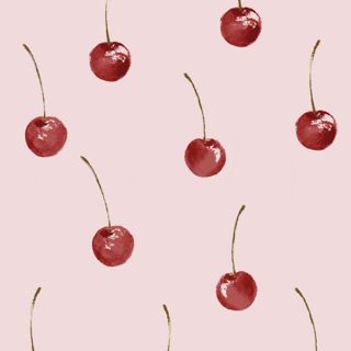 🍒専用です(クレンジング/メイク落とし)