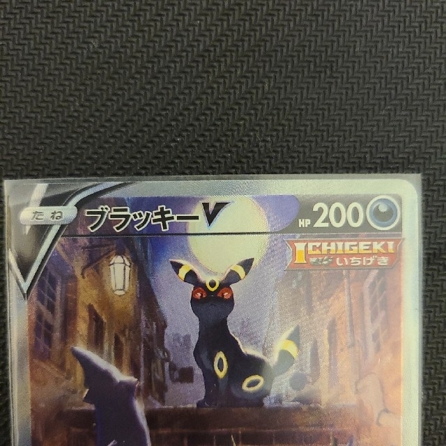 ブラッキーv SA (初期傷ちょいあり) | aosacoffee.com ブラッキーV sa 初期キズあり