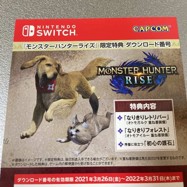 任天堂(ニンテンドウ)の送料無料　モンスターハンターライズ Switch エンタメ/ホビーのゲームソフト/ゲーム機本体(携帯用ゲームソフト)の商品写真