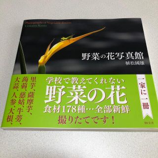 野菜の花写真館(趣味/スポーツ/実用)