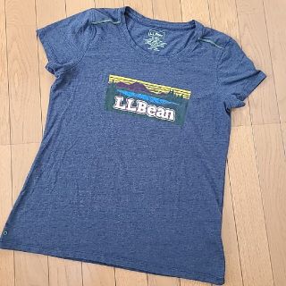 エルエルビーン(L.L.Bean)のLLBean　ネイビー　ロゴTシャツ　レディース　M(Tシャツ(半袖/袖なし))