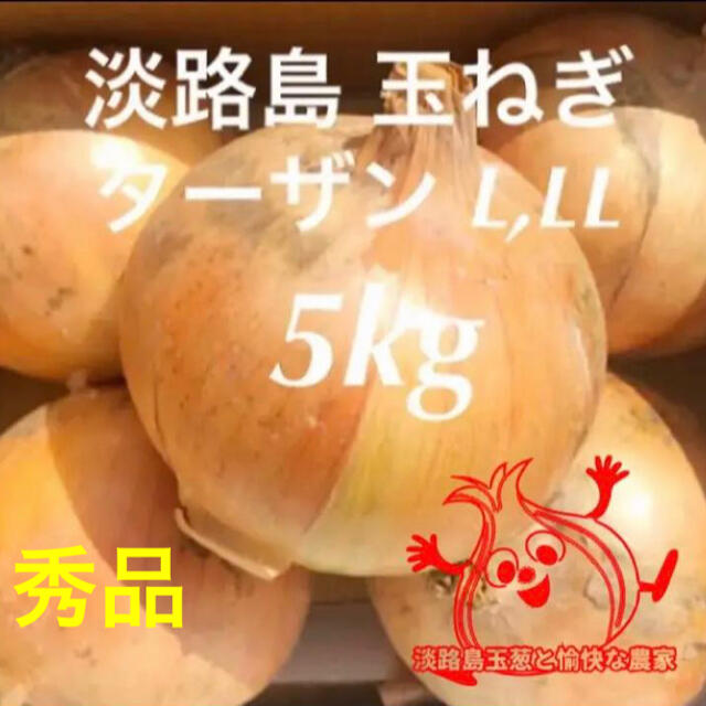 淡路島 完熟 玉ねぎ 5kg たまねぎ 玉葱 タマネギ 食品/飲料/酒の食品(野菜)の商品写真