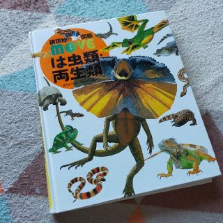 コウダンシャ(講談社)の講談社の動く図鑑　は虫類·両生類(絵本/児童書)