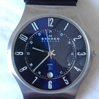 スカーゲン(SKAGEN)のSKAGENメンズクォーツ腕時計(腕時計(アナログ))