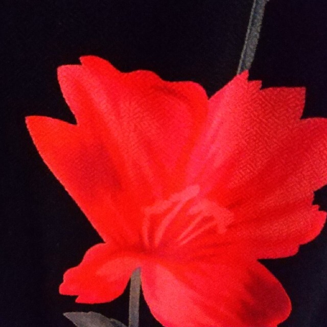 花柄カットソースカート レディースのスカート(ロングスカート)の商品写真