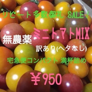 無農薬 ミニトマト 品種MIXいろいろ 詰め合わせ(ヘタなし)(野菜)