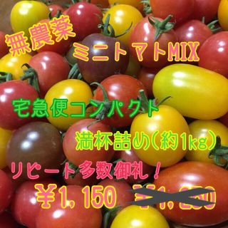 無農薬 ミニトマト 品種MIXいろいろ 詰め合わせ(ヘタなし)(野菜)