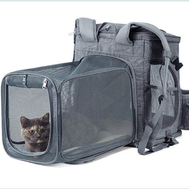 セール 犬 猫 リュック ペットキャリーバッグ リュック 拡張可能 大幅値下 メール便ok 日本製 Www Globaldentalcentre Org セール 犬 猫 リュック ペットキャリーバッグ リュック 拡張可能 大幅値下 メール便ok 日本製 Www Globaldentalcentre Org